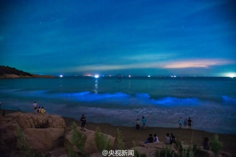 逃出海滩度假胜地