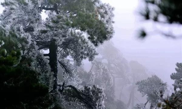 美丽城市拼拼看