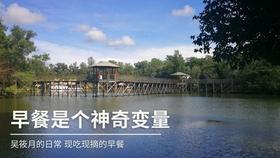 焯水香椿放冰箱一年还能吃吗游戏画面