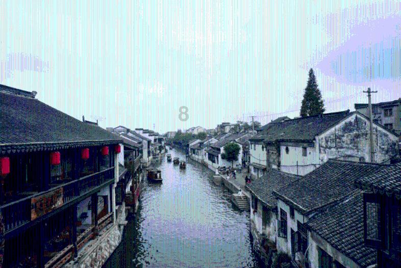 破碎的动物图形2